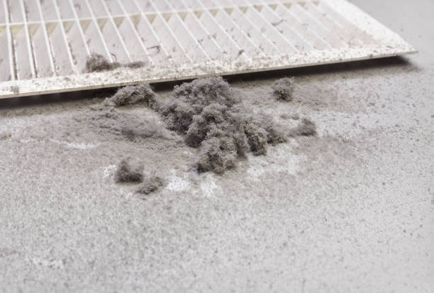 Best Affordable Duct Cleaning Services  in Pinetops, NC