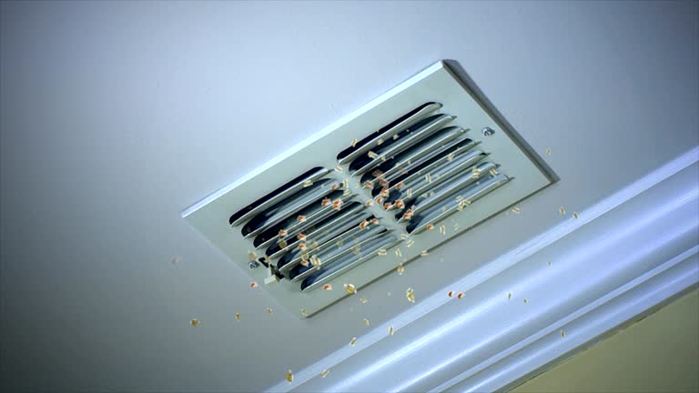 Air Duct Mold Removal in Pinetops, NC