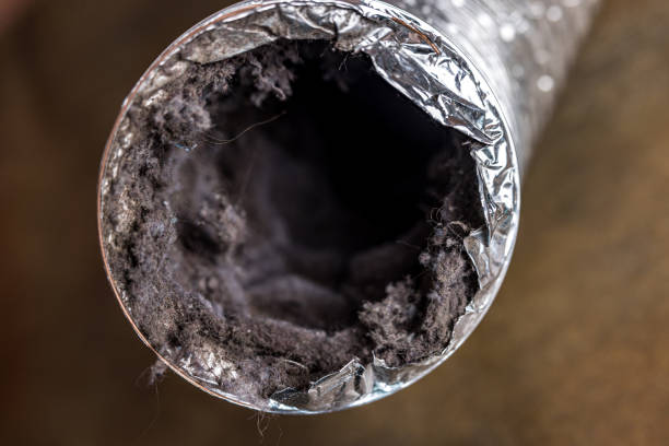 Best Ductwork Cleaning Services  in Pinetops, NC