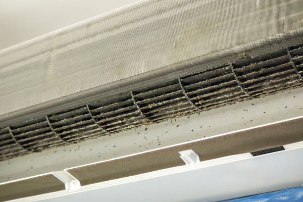 Best Home Air Vent Cleaning  in Pinetops, NC